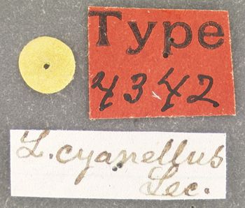 Media type: image;   Entomology 4342 Aspect: labels